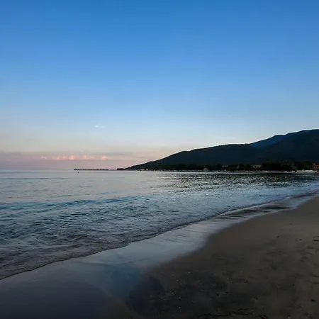 Alos Utopia * 斯塔夫罗斯